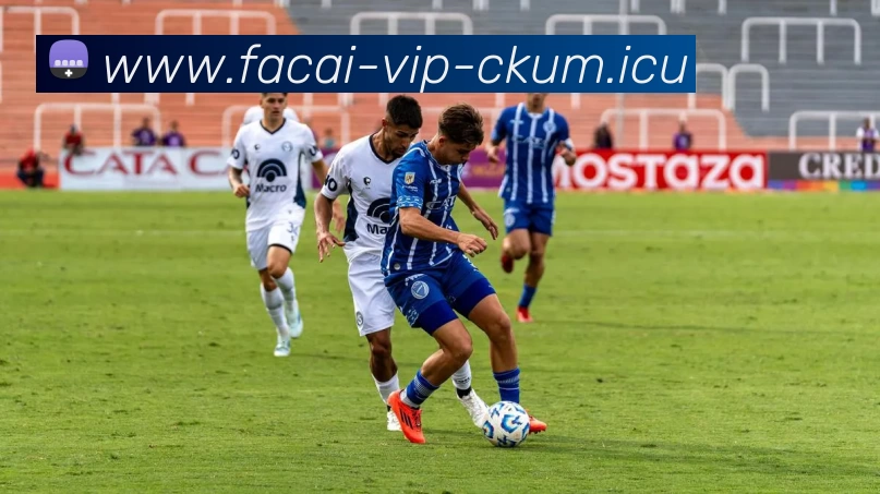 华体会体育注册品牌故事